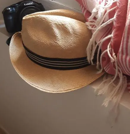 Elsa. شقة *